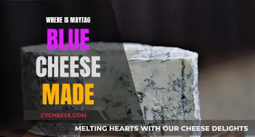 Maytag Blue Cheese: Handcrafted in Iowa Since 1941
