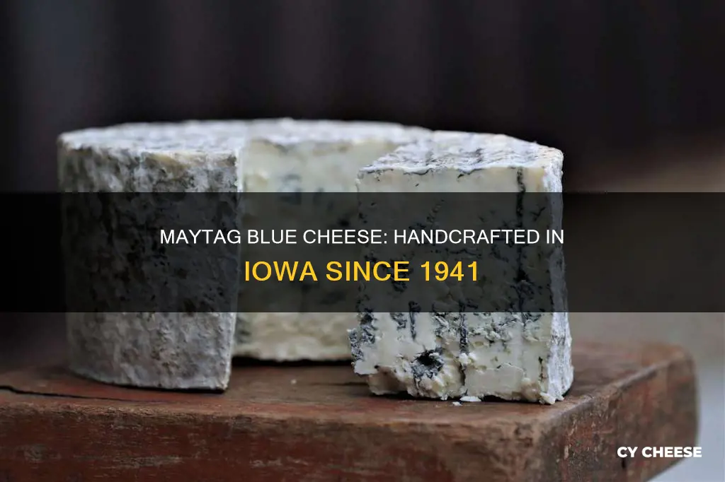 where is maytag blue cheese made