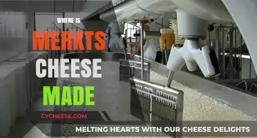 Unveiling the Origin: Where Merkts Cheese is Crafted