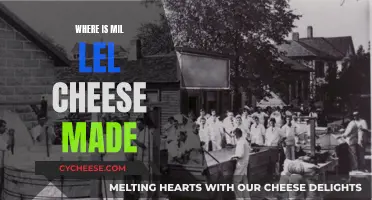 Mil Lel Cheese: A Local Legend in Australian Dairy
