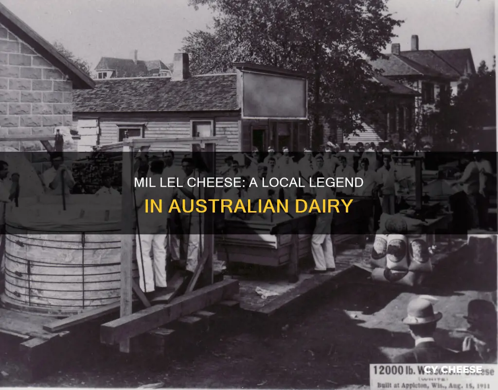 where is mil lel cheese made