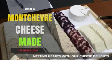 Montchevre's Origin: Where This French Cheese is Crafted