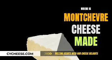 The Making of Montchevre Cheese: A Wisconsin Original