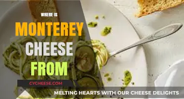 Discovering the Origins of Monterey Cheese: A Historical Journey