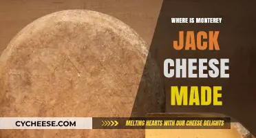 The Origin of Monterey Jack: A Cheesy Journey