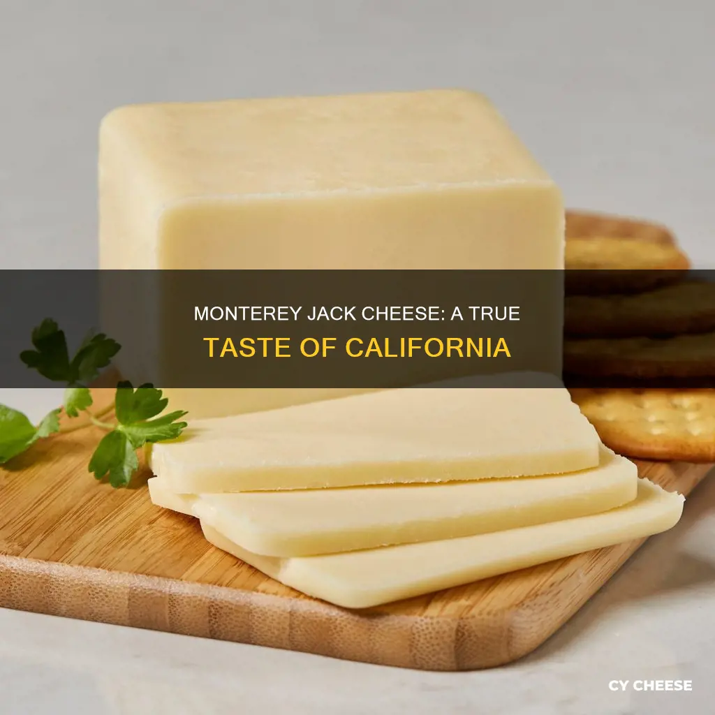 where is monterey jack cheese made