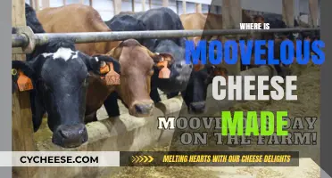 Moovelous Cheese: Unveiling the Secrets of its Origin