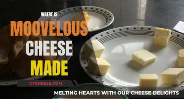 The Making of Moovelous Cheese: A Tasty Origin Story