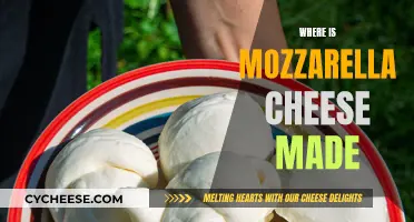 Mozzarella Cheese: A Global or Local Delicacy?