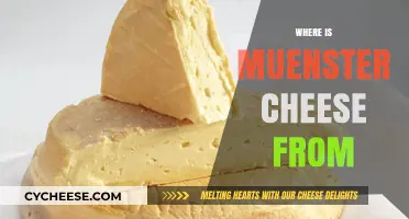 The Surprising Origins of Muenster Cheese: A Historical Journey