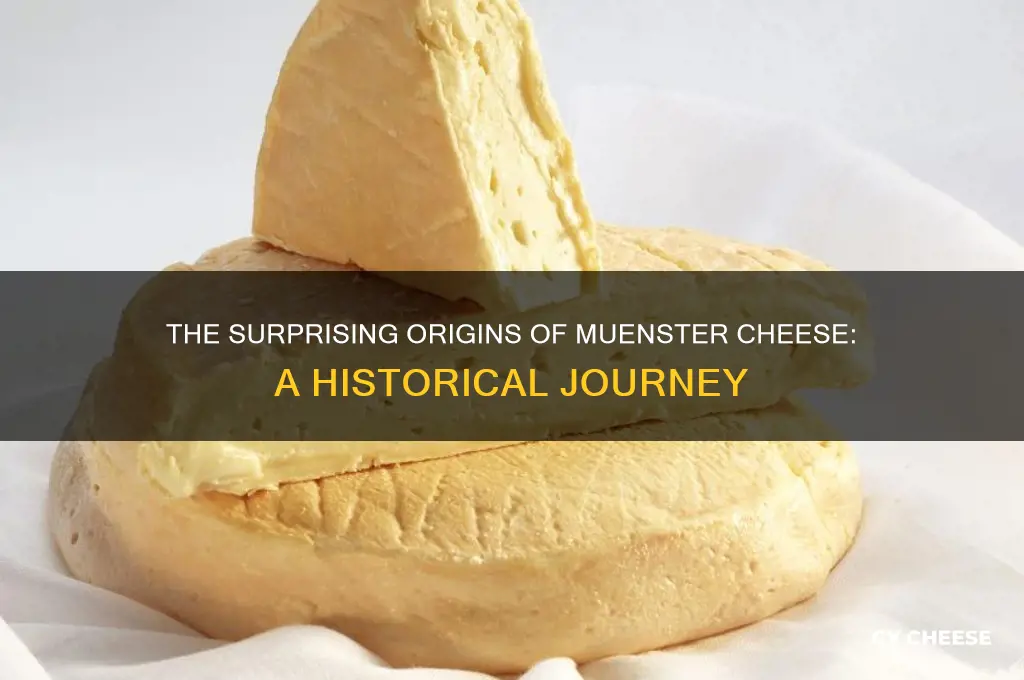 where is muenster cheese from