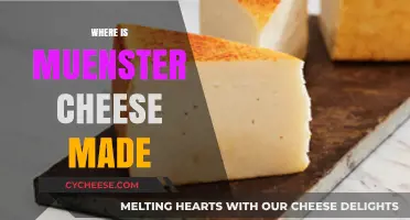 Muenster's Origin: Unveiling the Cheese's Regional Heritage