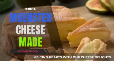 The History of Muenster Cheese and Its Place of Origin
