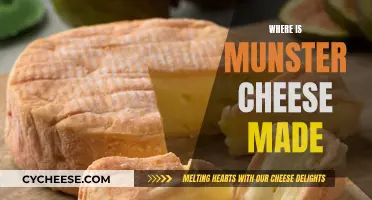 Munster Cheese: A Taste of France's Rich Heritage