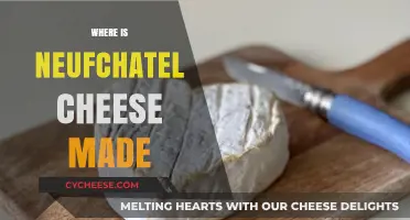 Neuchâtel Cheese: A Journey to the Swiss Alps