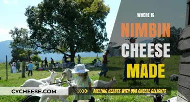 Unveiling Nimbin's Cheesy Secrets: Where the Delicacy is Crafted