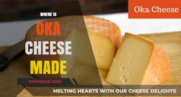 Oka Cheese: A Journey to the Origins of a Delicious Treat