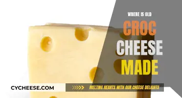 The Ancient Art of Croc Cheese Making