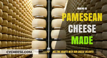 Pamesean Cheese: Unveiling the Secrets of its Origin