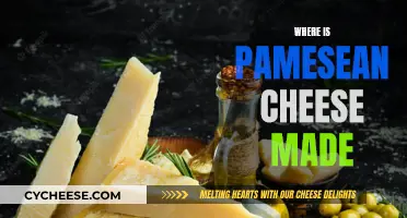 Pamesean Cheese: Where is it Made and Why There?