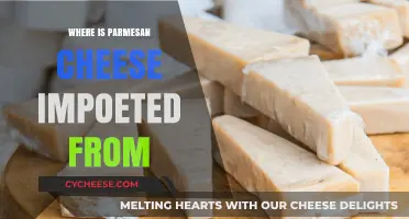 Parmesan Cheese: Where is it Imported From?