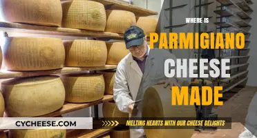 The Origins of Parmigiano: A Cheesy Journey