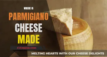 The Art of Parmigiano Cheese: Made in Italy