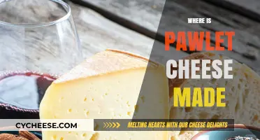 The Origin of Pawlet Cheese: A Journey to Vermont's Heart