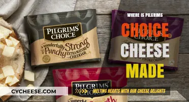 Pilgrims Choice Cheese: Unveiling the Secrets of its Origin