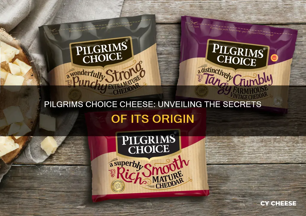 where is pilgrims choice cheese made