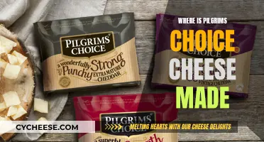 Pilgrims Choice Cheese: A Tasty Tour of Origins