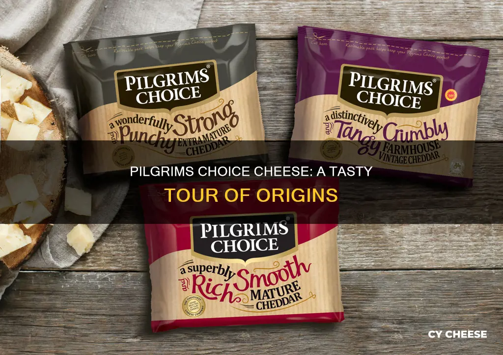 where is pilgrims choice cheese made