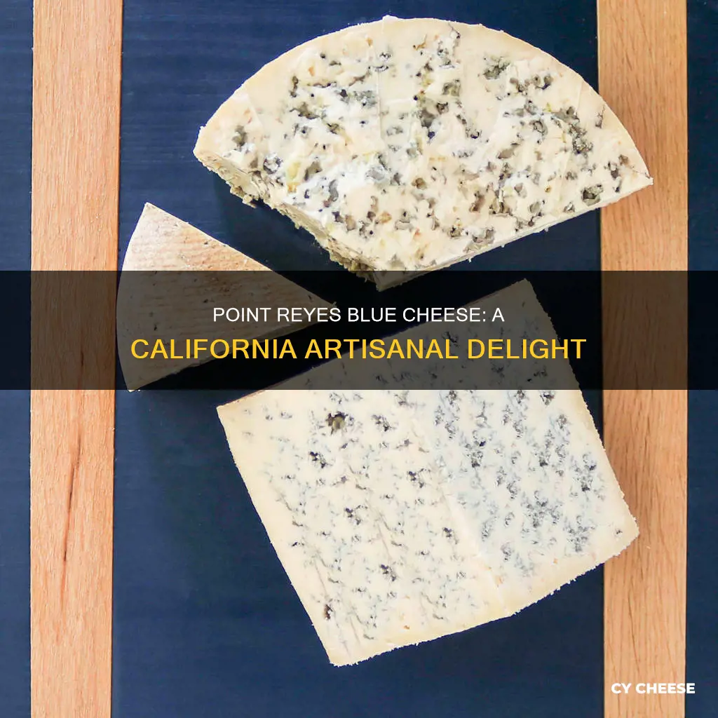 where is point reyes blue cheese made