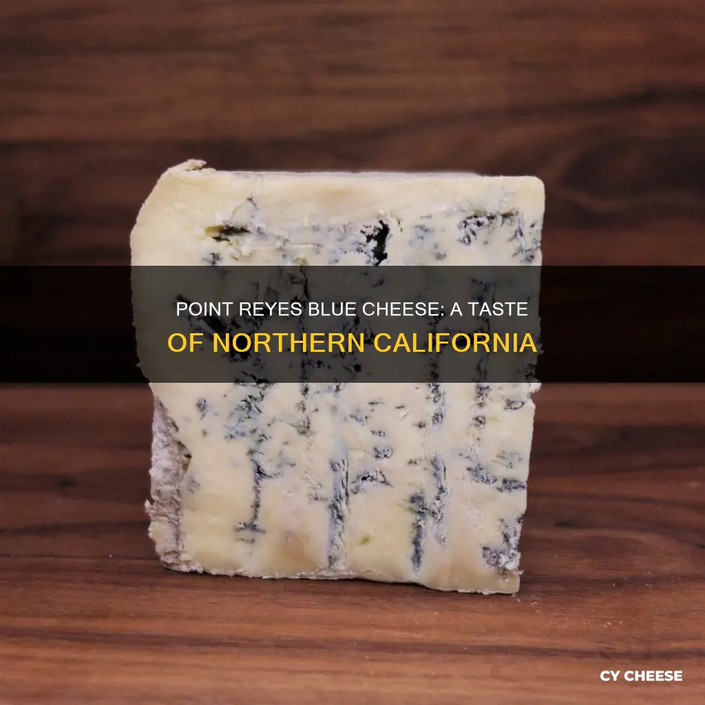 where is point reyes blue cheese made