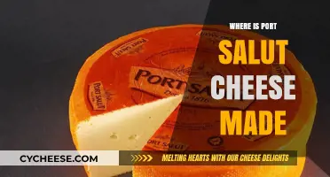 Port Salut's Origin: Unveiling the Cheese's French Heritage