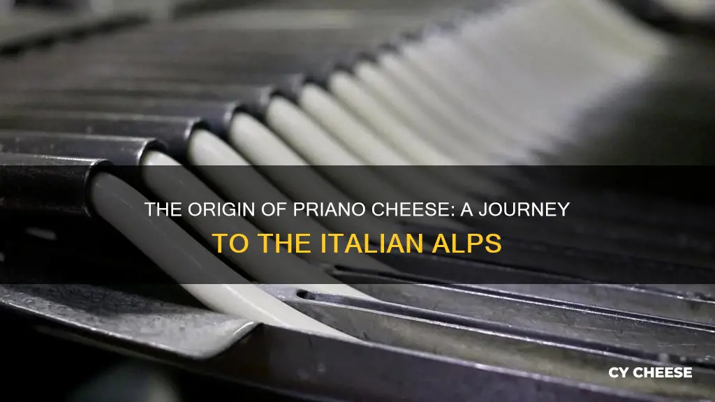 where is priano cheese made