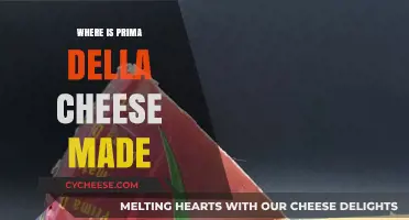 The Origins of Prima della Cheese: A Journey to Its Source