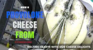 The Surprising Origins of Provolone Cheese: A Historical Journey