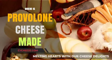 The Origins of Provolone: A Cheesy Journey