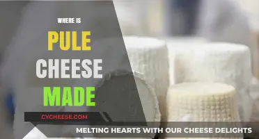 Pule Cheese: Exploring the Origins of Serbia's Delicacy