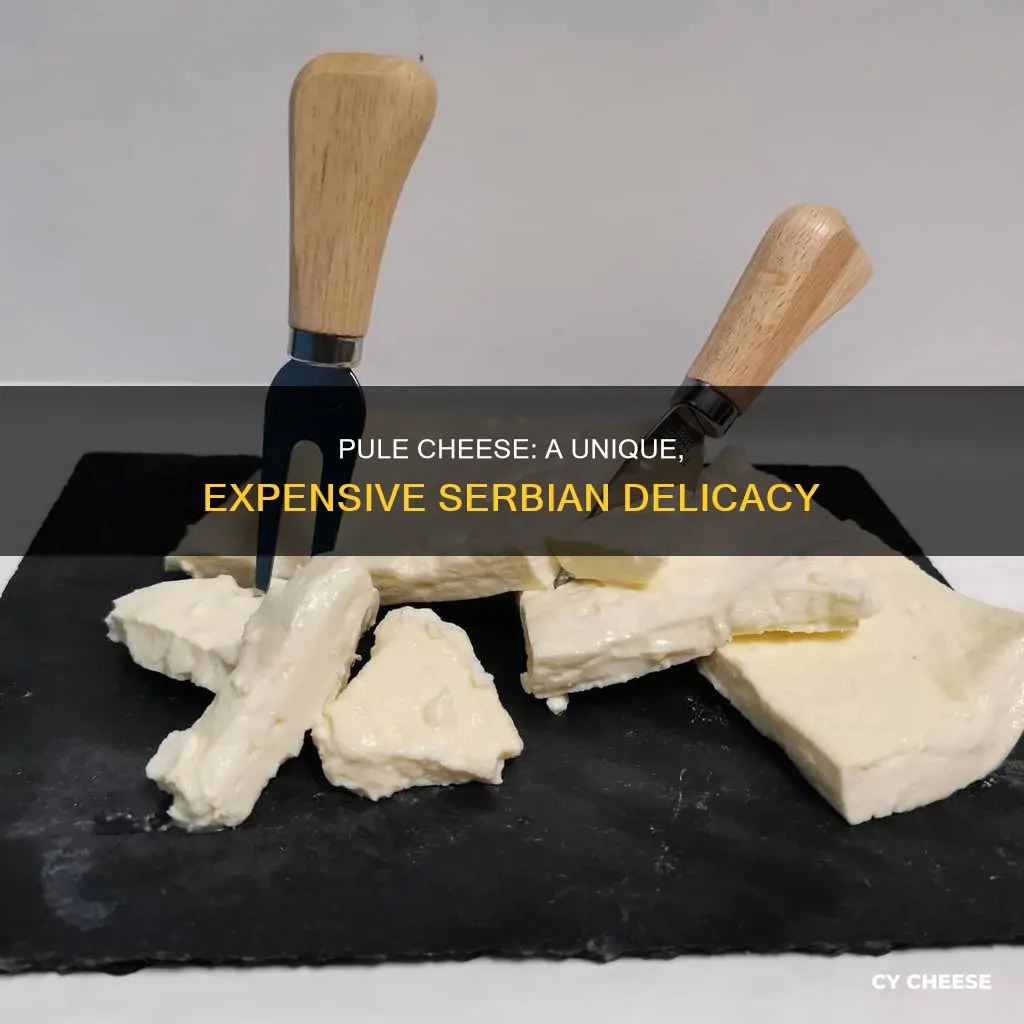 where is pule cheese made