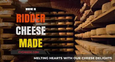 The Origin of Ridder Cheese: A Journey to the Netherlands