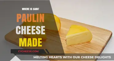 Saint Paulin's Origin: A Journey to the Cheese's Home