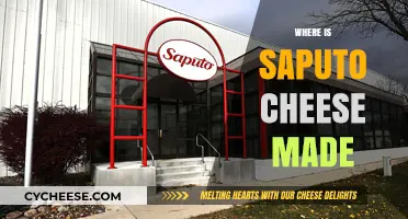 Saputo Cheese: A Journey from Farm to Table