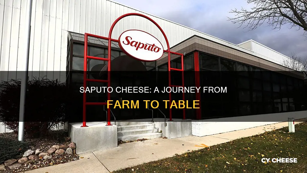 where is saputo cheese made