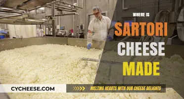 Sartori Cheese: Unveiling the Origin of Wisconsin's Favorite