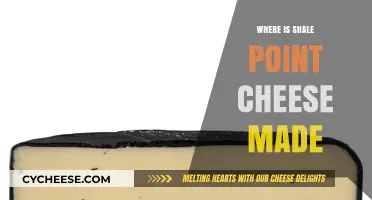 Uncover the Origin: Where is Shale Point Cheese Crafted?