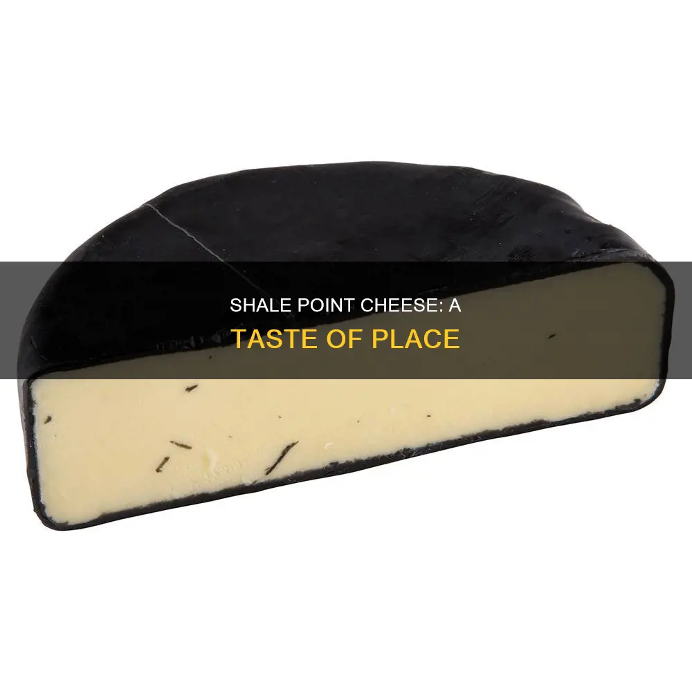 where is shale point cheese made