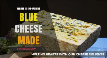 Shropshire Blue Cheese: Unveiling the Secrets of its Origin