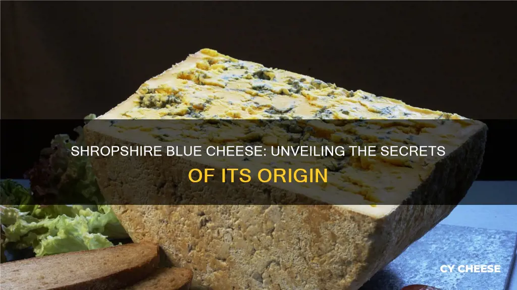 where is shropshire blue cheese made